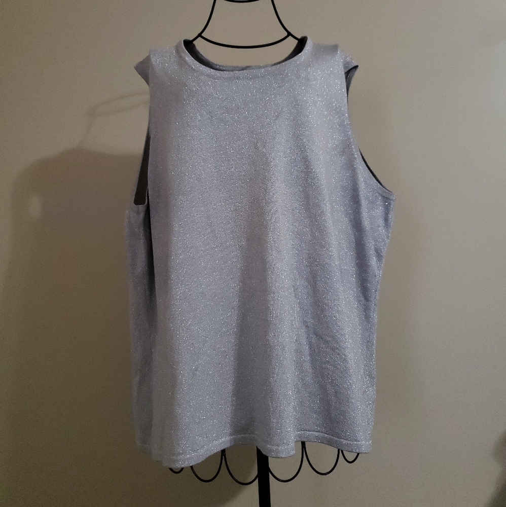 Choices Silver Glitter Shimmer Blouse Size 2X